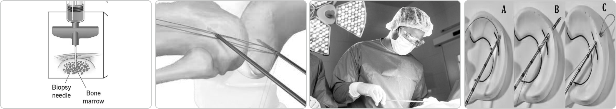 1736148267491466.jpg ORTHOPEDICS RANGE3.jpg